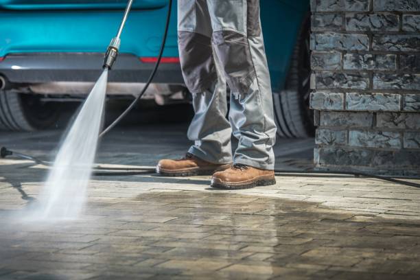 Best Pre-Holiday Cleaning  in Frostburg, MD
